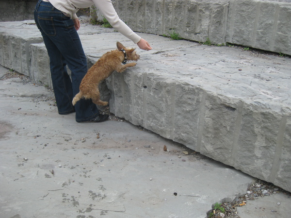 We nemen een goede aanloop ...en ja wel hoor! 