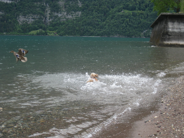 Achter eenden aangaan!