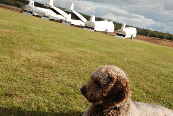 De hobby van mijn baasje