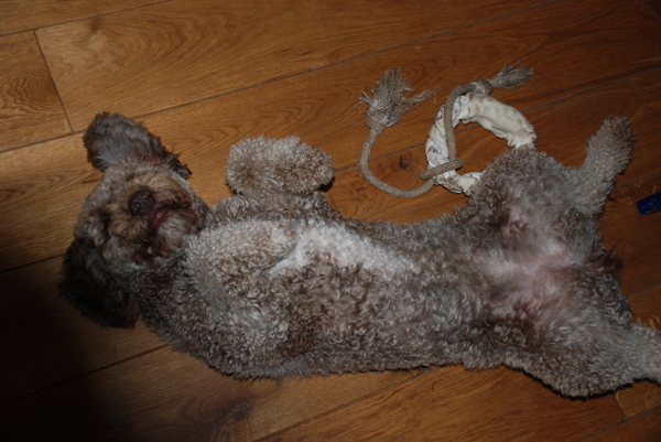 Mijn speelgoed en mijn buik 