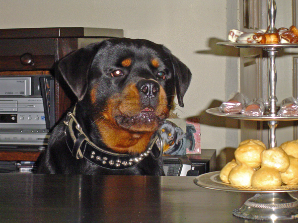 Wat ziet mijn oog voor een lekkers..