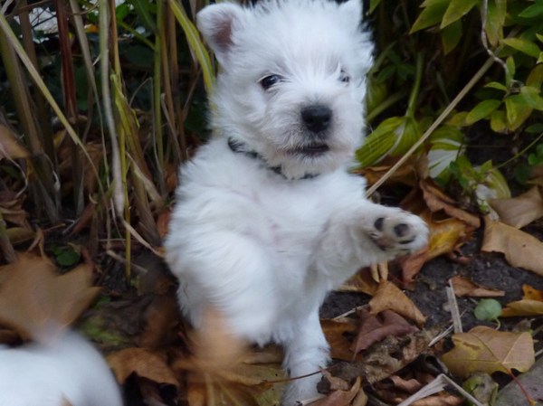 al het begin is moeilijk