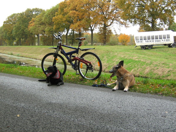 lekker met baas fietsen