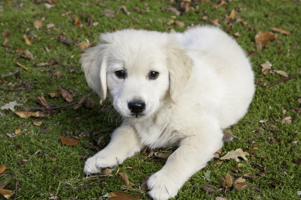 Wat hebben ze een grote tuin!!!