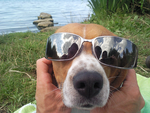 Tessa @ de Vlietlanden