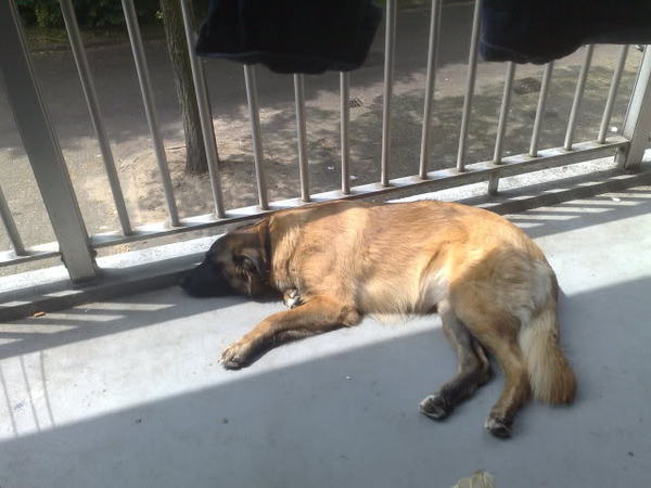 lekker luieren op het balkon als het zonnetje schijnt