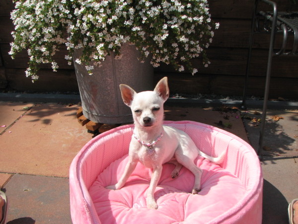 Heerlijk van het zonnetje genieten