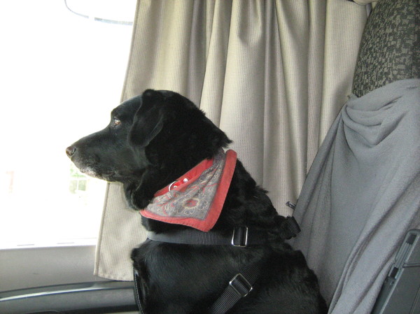 mijn bijrijder op de vrachtwagen