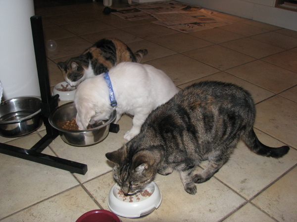 mijn grootste hobby :D