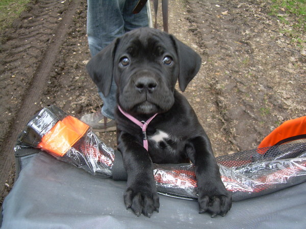 later als ik groot ben 