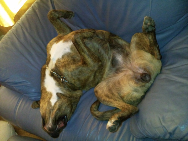 lekker slape, dat mag ik graag doen na t ravotten....