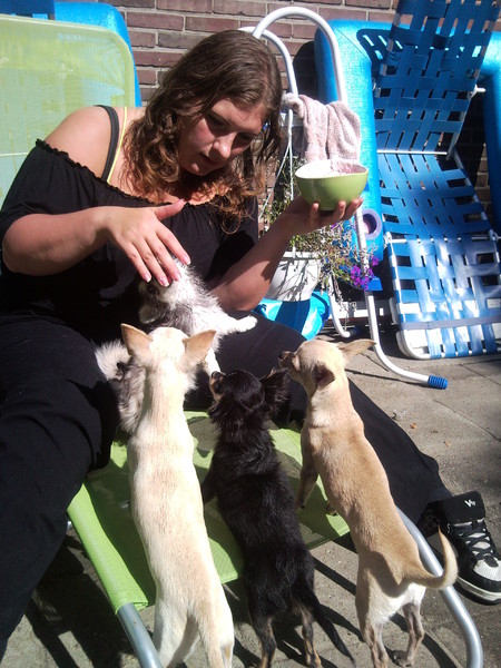 macho,uk,phoebe en dino krijgen een stukje taart