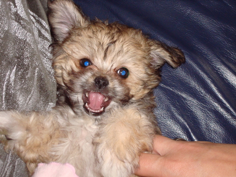 Ik trek graag gekke bekken