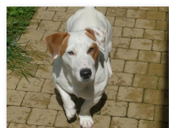 wat,? heb ik iets mis gedaan