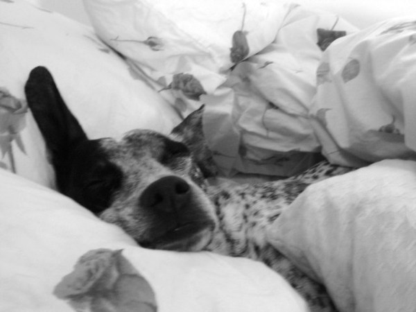 uiteraard SLAPEN, zeker in het grote bed