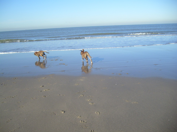 Wij zijn elkaars hobby