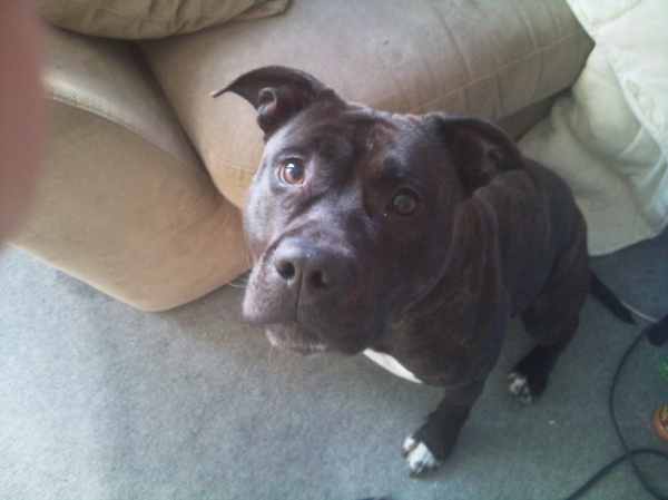 jaja wilt weer aandacht :P