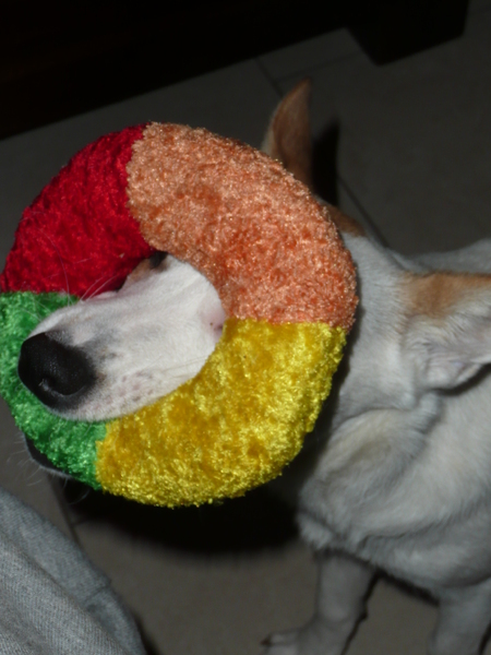 De hele dag spelen met zijn nieuwe speeltje