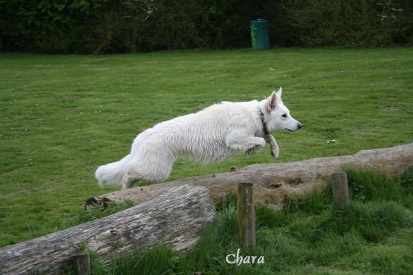 Bernisse is FUNNNNNN