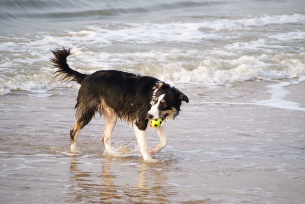 Luka met bal op strand