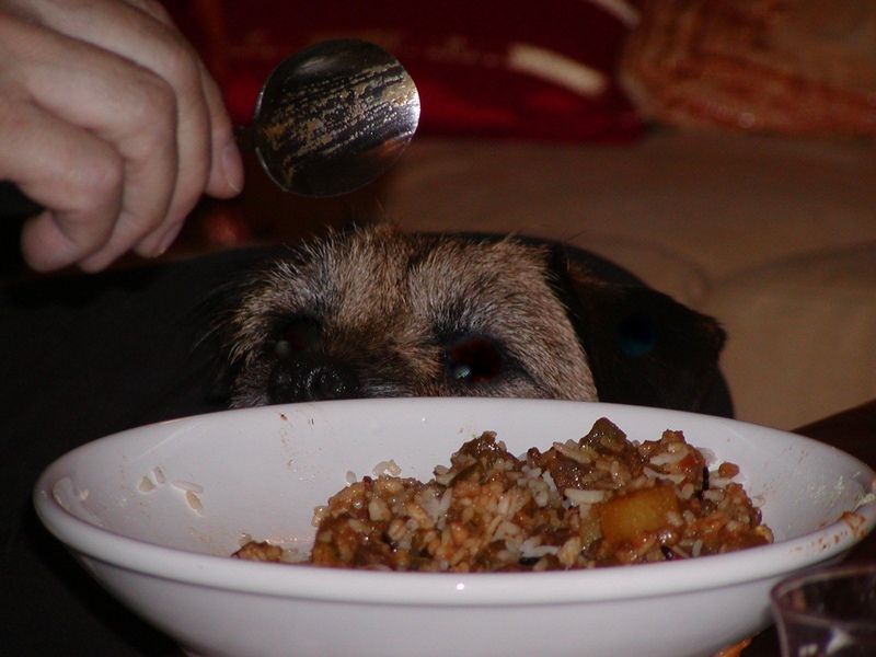 Daar heb ik best trek in!