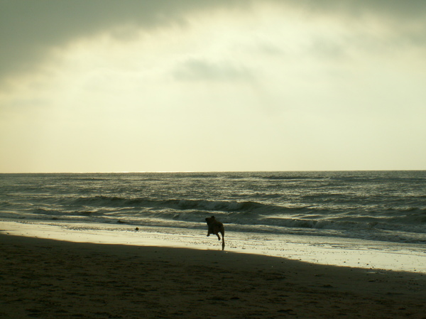 hop! Naar mijn bal in de zee!