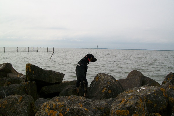 Uitkijken over het IJsselmeer
