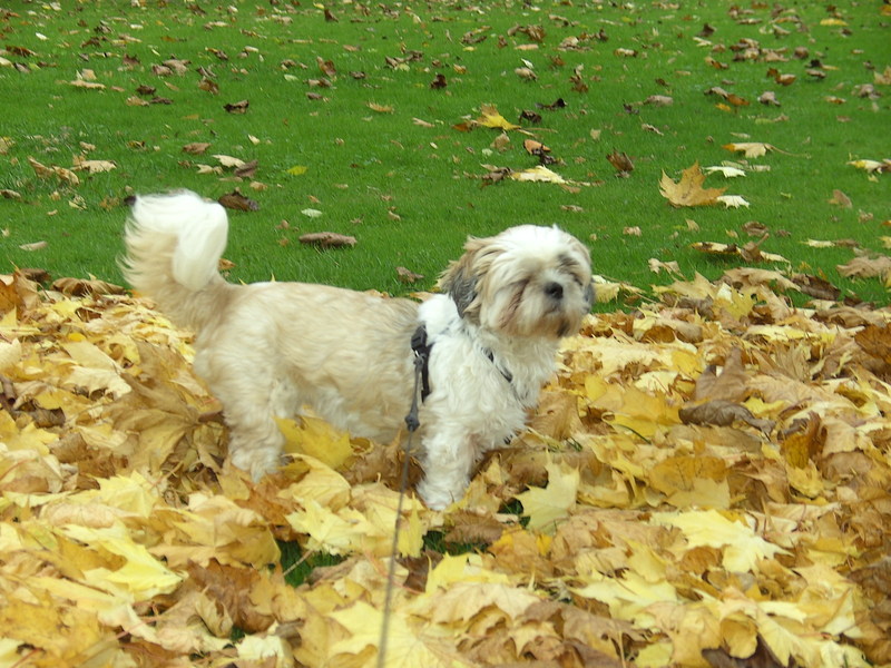 lekker gaan wandelen !