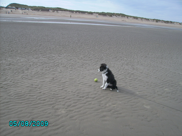 voor het eerst aan zee 