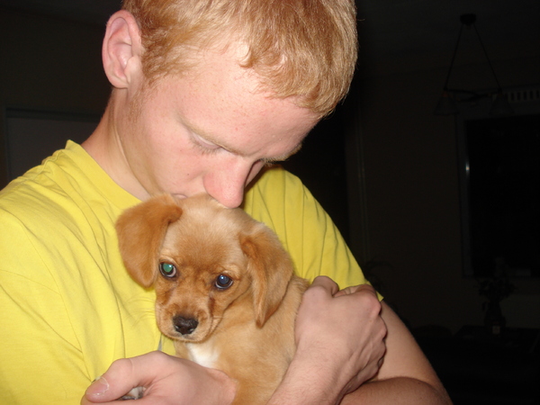 2 lieverds bij elkaar