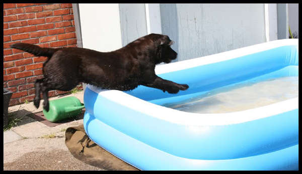 duiken voor beginners