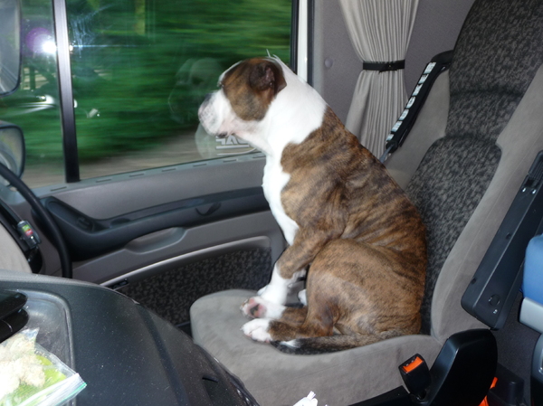 Diesels favo hobby chillen in de vrachtwagen van ze baassie!!