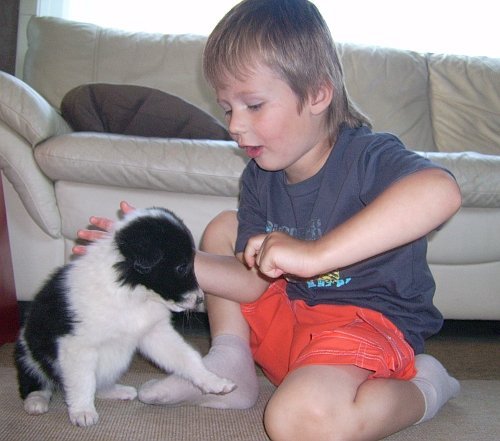 Eerste dag thuis,... kennismaking!