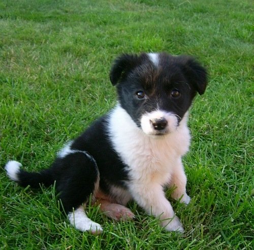 Is ze niet schattig?