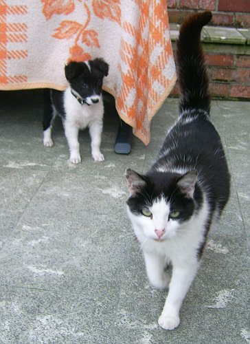 Hé, die lijkt op mij!