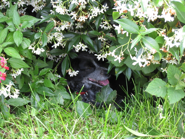 Heerlijk in de schaduw!