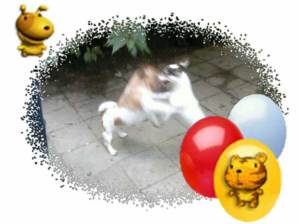dushi en levi, lekker stoeien