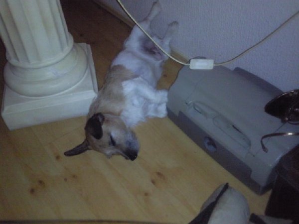niet storen