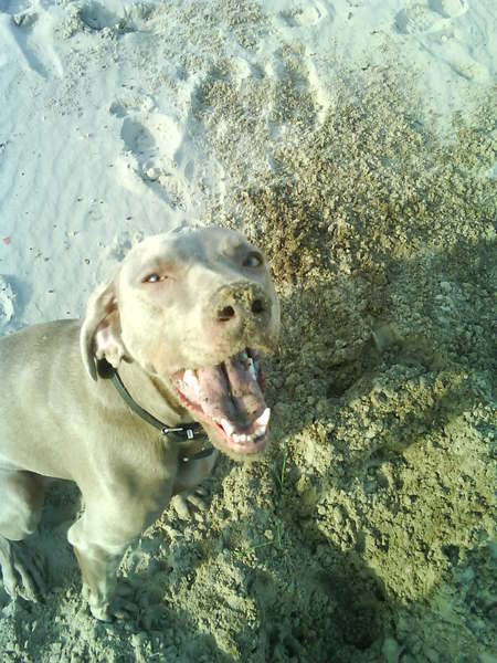 Zit er iets op me neus???