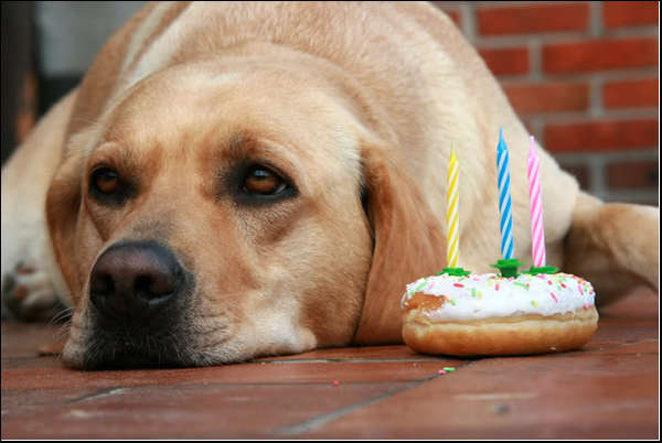 klaar met de foto...