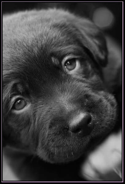 kijk eens diep in mijn ogen...