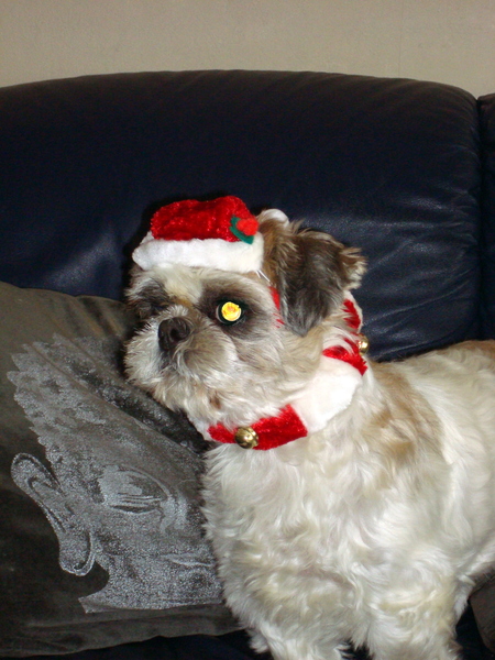 Onze oudste kerstman