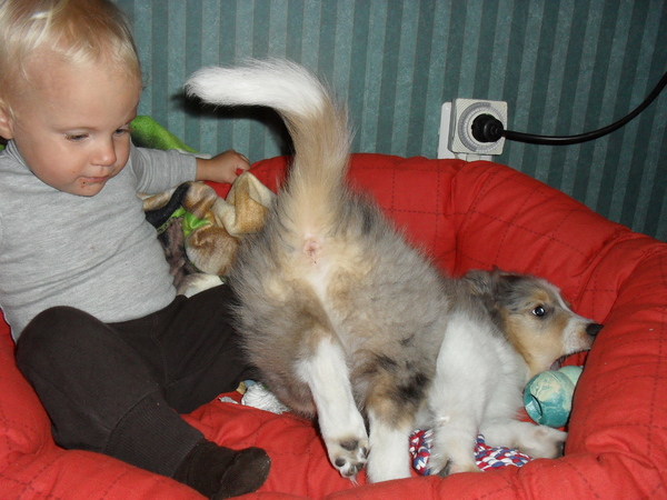 Diesel en demy sporen niet !