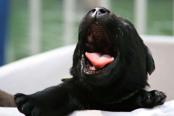 kan het nog wijder ???