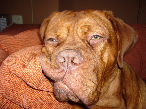 waarom lachen jullie nou???