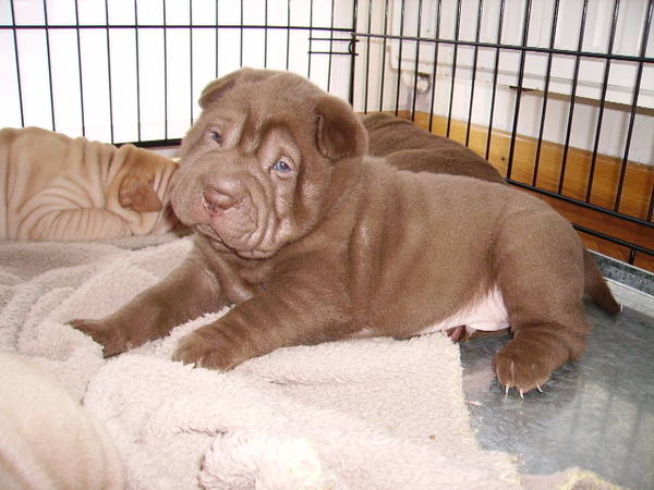 kijk eens hoe lief ik al kan zien!