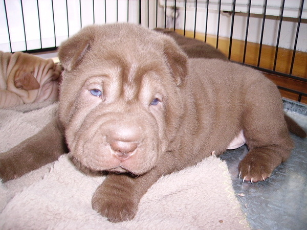 kijk eens hoe lief ik al kan zien!