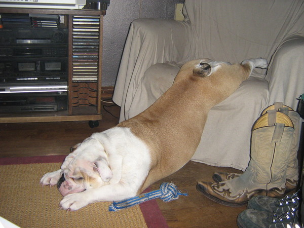 opstaan?nee toch maar niet!