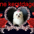 ik wenst iedereen fijne kerstdagen 
groetjes daisy