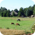 De Gelpenhoeve (recreatieboerderij)